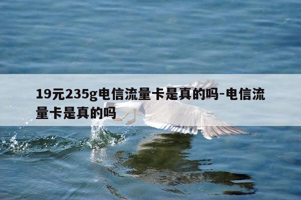19元235g电信流量卡是真的吗-电信流量卡是真的吗-第1张图片-优惠活动网