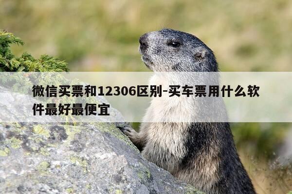 微信买票和12306区别-买车票用什么软件最好最便宜-第1张图片-优惠活动网