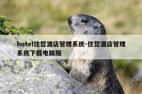 hotel住哲酒店管理系统-住哲酒店管理系统下载电脑版-第1张图片-优惠活动网