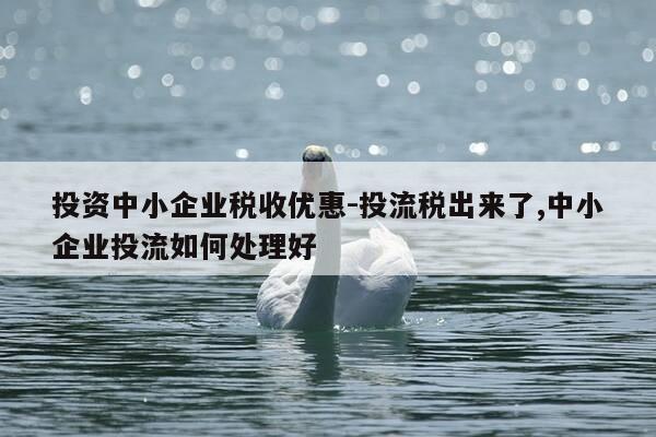 投资中小企业税收优惠-投流税出来了,中小企业投流如何处理好-第1张图片-优惠活动网 投资中小企业税收优惠-投流税出来了,中小企业投流如何处理好-第1张图片-优惠活动网