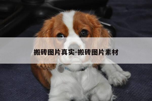 搬砖图片真实-搬砖图片素材-第1张图片-优惠活动网