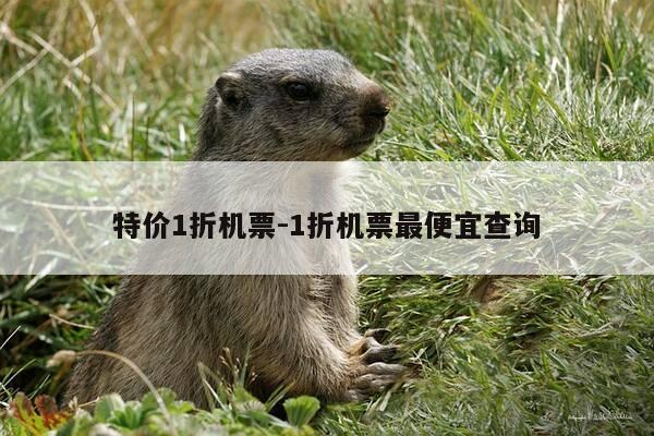 特价1折机票-1折机票最便宜查询-第1张图片-优惠活动网