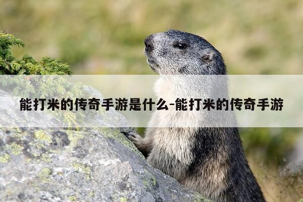 能打米的传奇手游是什么-能打米的传奇手游-第1张图片-优惠活动网