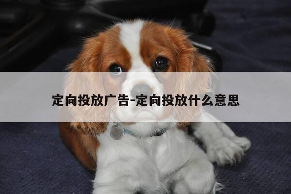 定向投放广告-定向投放什么意思-第1张图片-优惠活动网