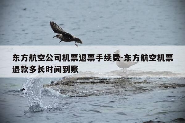 东方航空公司机票退票手续费-东方航空机票退款多长时间到账-第1张图片-优惠活动网
