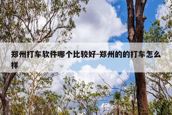 郑州打车软件哪个比较好-郑州的的打车怎么样-第1张图片-优惠活动网