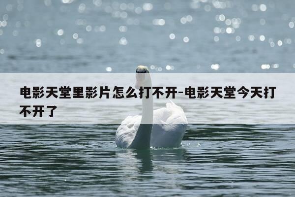电影天堂里影片怎么打不开-电影天堂今天打不开了-第1张图片-优惠活动网