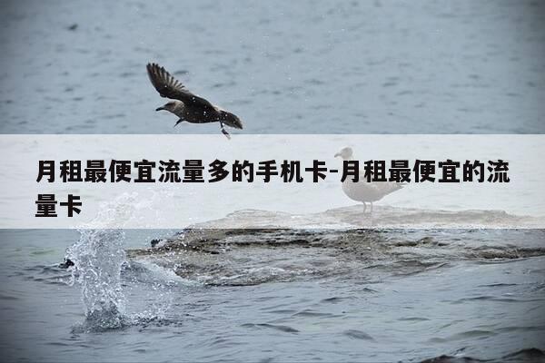 月租最便宜流量多的手机卡-月租最便宜的流量卡-第1张图片-优惠活动网