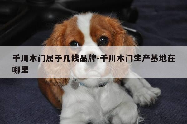 千川木门属于几线品牌-千川木门生产基地在哪里-第1张图片-优惠活动网
