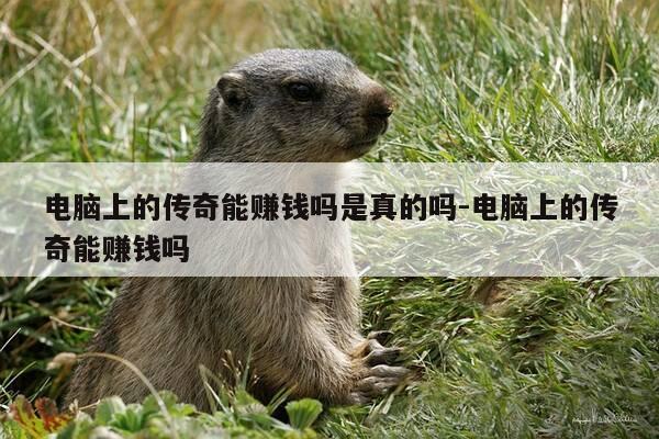 电脑上的传奇能赚钱吗是真的吗-电脑上的传奇能赚钱吗-第1张图片-优惠活动网