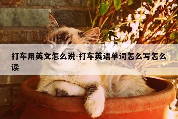 打车用英文怎么说-打车英语单词怎么写怎么读-第1张图片-优惠活动网