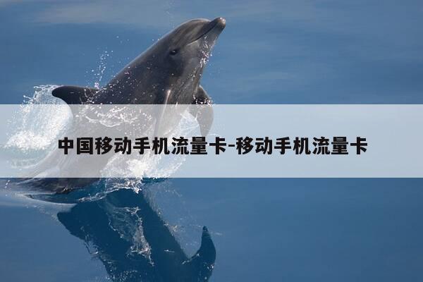 中国移动手机流量卡-移动手机流量卡-第1张图片-优惠活动网 中国移动手机流量卡-移动手机流量卡-第1张图片-优惠活动网
