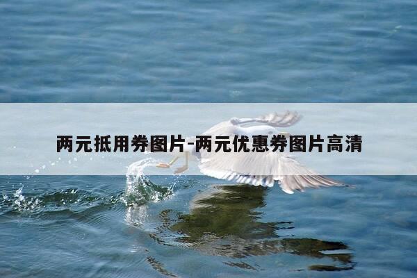 两元抵用券图片-两元优惠券图片高清-第1张图片-优惠活动网