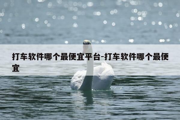 打车软件哪个最便宜平台-打车软件哪个最便宜-第1张图片-优惠活动网