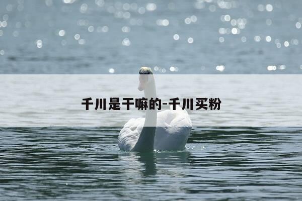 千川是干嘛的-千川买粉-第1张图片-优惠活动网