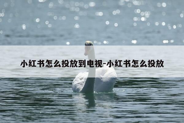 小红书怎么投放到电视-小红书怎么投放-第1张图片-优惠活动网 小红书怎么投放到电视-小红书怎么投放-第1张图片-优惠活动网
