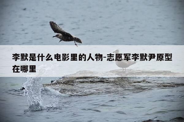 李默是什么电影里的人物-志愿军李默尹原型在哪里-第1张图片-优惠活动网