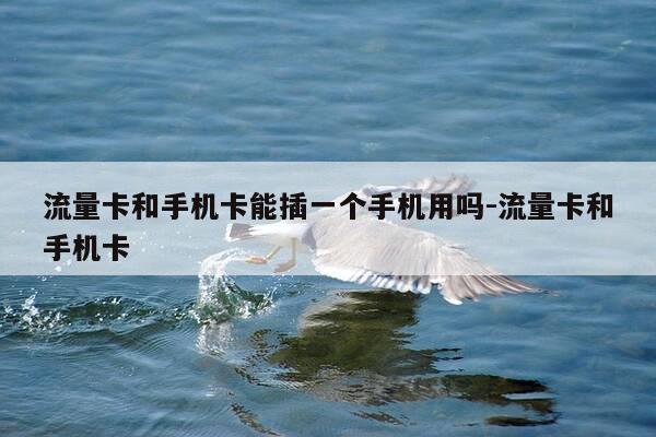 流量卡和手机卡能插一个手机用吗-流量卡和手机卡-第1张图片-优惠活动网
