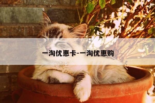 一淘优惠卡-一淘优惠购-第1张图片-优惠活动网