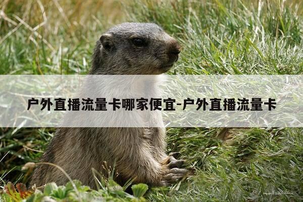 户外直播流量卡哪家便宜-户外直播流量卡-第1张图片-优惠活动网