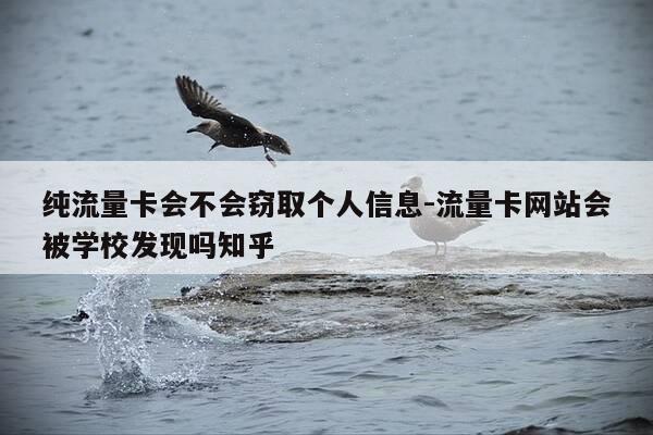 纯流量卡会不会窃取个人信息-流量卡网站会被学校发现吗知乎-第1张图片-优惠活动网 纯流量卡会不会窃取个人信息-流量卡网站会被学校发现吗知乎-第1张图片-优惠活动网