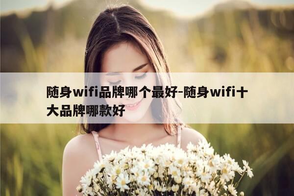 随身wifi品牌哪个最好-随身wifi十大品牌哪款好-第1张图片-优惠活动网