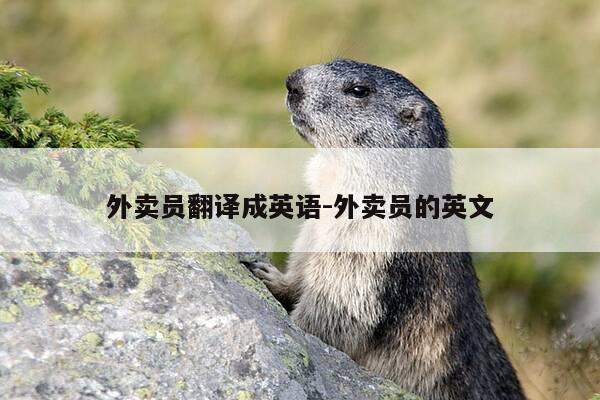 外卖员翻译成英语-外卖员的英文-第1张图片-优惠活动网 外卖员翻译成英语-外卖员的英文-第1张图片-优惠活动网