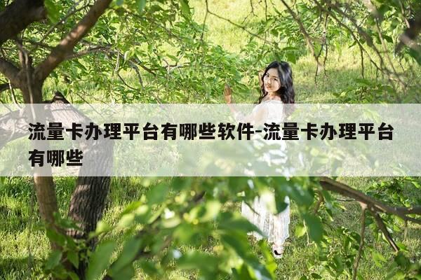 流量卡办理平台有哪些软件-流量卡办理平台有哪些-第1张图片-优惠活动网