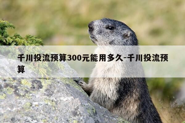 千川投流预算300元能用多久-千川投流预算-第1张图片-优惠活动网