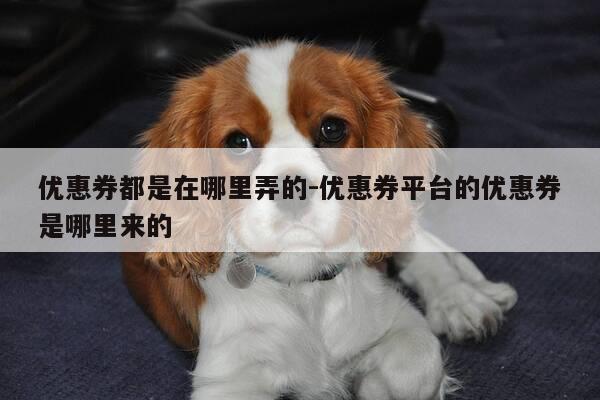 优惠券都是在哪里弄的-优惠券平台的优惠券是哪里来的-第1张图片-优惠活动网 优惠券都是在哪里弄的-优惠券平台的优惠券是哪里来的-第1张图片-优惠活动网