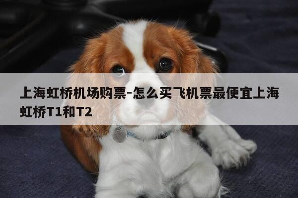 上海虹桥机场购票-怎么买飞机票最便宜上海虹桥T1和T2-第1张图片-优惠活动网