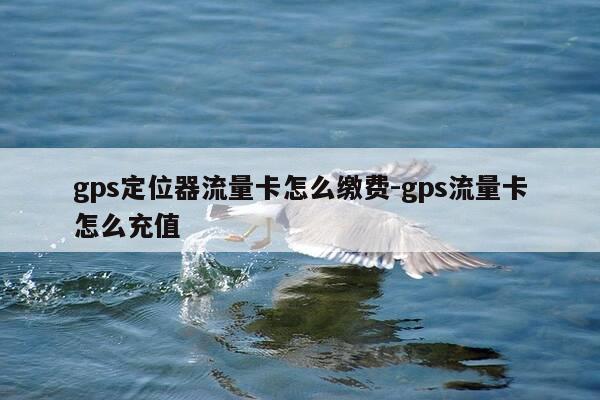 gps定位器流量卡怎么缴费-gps流量卡怎么充值-第1张图片-优惠活动网