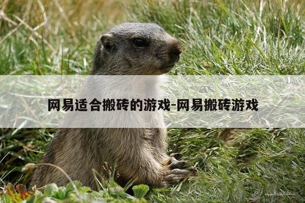 网易适合搬砖的游戏-网易搬砖游戏-第1张图片-优惠活动网