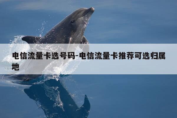 电信流量卡选号码-电信流量卡推荐可选归属地-第1张图片-优惠活动网