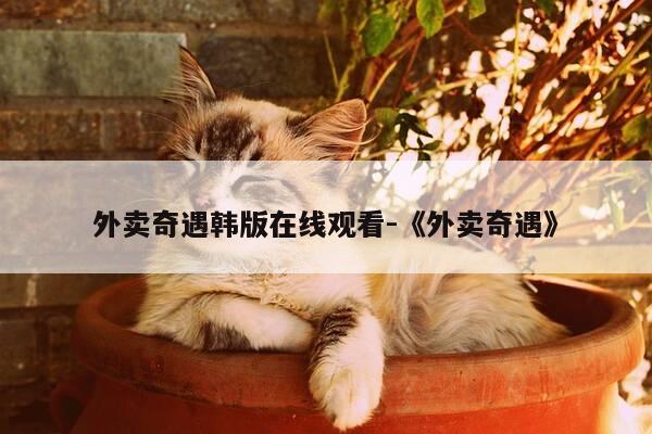 外卖奇遇韩版在线观看-《外卖奇遇》-第1张图片-优惠活动网