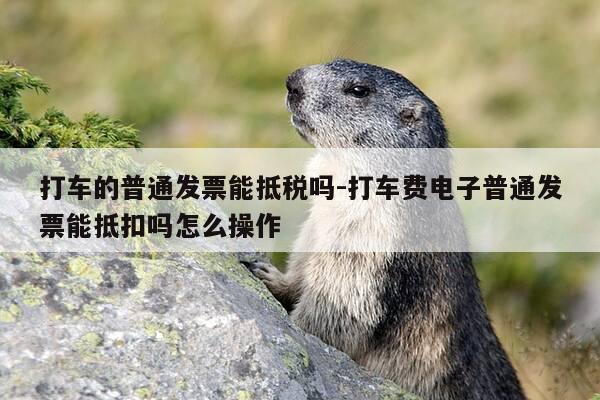 打车的普通发票能抵税吗-打车费电子普通发票能抵扣吗怎么操作-第1张图片-优惠活动网 打车的普通发票能抵税吗-打车费电子普通发票能抵扣吗怎么操作-第1张图片-优惠活动网