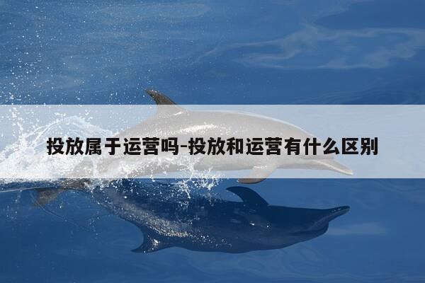 投放属于运营吗-投放和运营有什么区别-第1张图片-优惠活动网