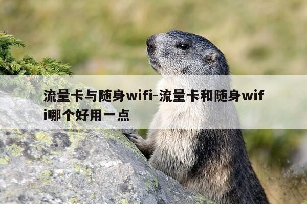 流量卡与随身wifi-流量卡和随身wifi哪个好用一点-第1张图片-优惠活动网