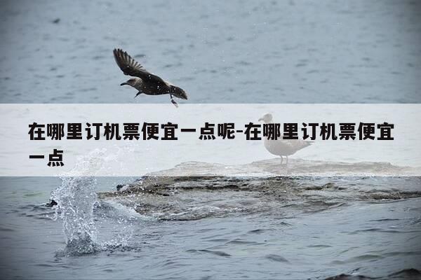 在哪里订机票便宜一点呢-在哪里订机票便宜一点-第1张图片-优惠活动网 在哪里订机票便宜一点呢-在哪里订机票便宜一点-第1张图片-优惠活动网