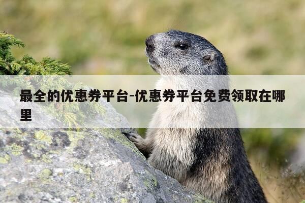 最全的优惠券平台-优惠券平台免费领取在哪里-第1张图片-优惠活动网