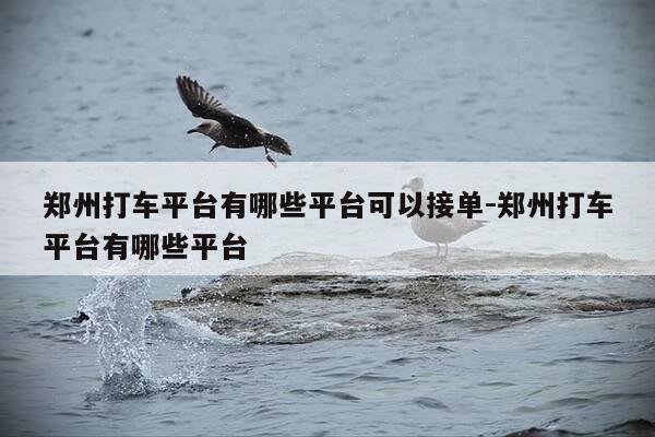 郑州打车平台有哪些平台可以接单-郑州打车平台有哪些平台-第1张图片-优惠活动网