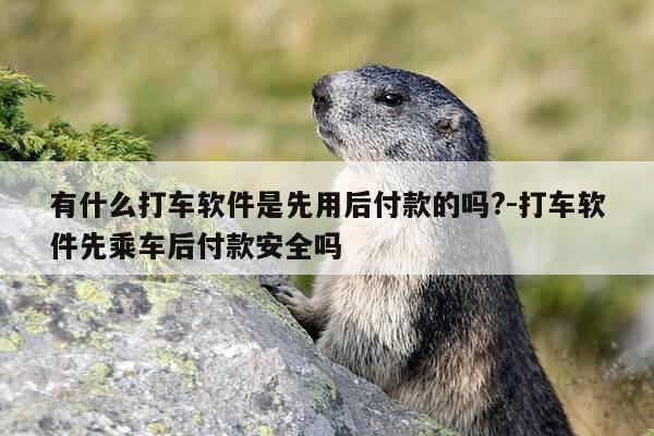 有什么打车软件是先用后付款的吗?-打车软件先乘车后付款安全吗-第1张图片-优惠活动网 有什么打车软件是先用后付款的吗?-打车软件先乘车后付款安全吗-第1张图片-优惠活动网