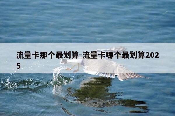 流量卡那个最划算-流量卡哪个最划算2025-第1张图片-优惠活动网