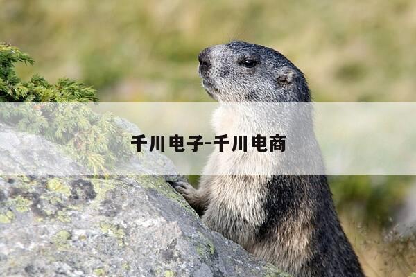 千川电子-千川电商-第1张图片-优惠活动网