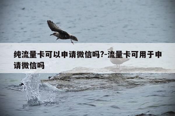 纯流量卡可以申请微信吗?-流量卡可用于申请微信吗-第1张图片-优惠活动网 纯流量卡可以申请微信吗?-流量卡可用于申请微信吗-第1张图片-优惠活动网