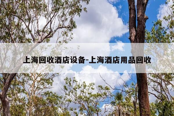 上海回收酒店设备-上海酒店用品回收-第1张图片-优惠活动网 上海回收酒店设备-上海酒店用品回收-第1张图片-优惠活动网