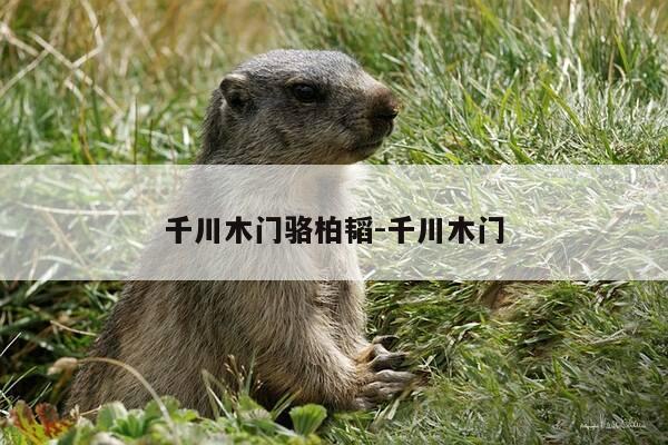 千川木门骆柏韬-千川木门-第1张图片-优惠活动网 千川木门骆柏韬-千川木门-第1张图片-优惠活动网