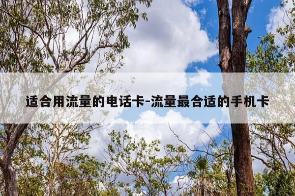 适合用流量的电话卡-流量最合适的手机卡-第1张图片-优惠活动网 适合用流量的电话卡-流量最合适的手机卡-第1张图片-优惠活动网