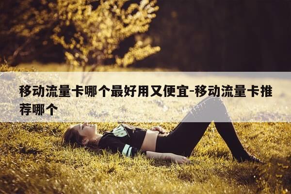 移动流量卡哪个最好用又便宜-移动流量卡推荐哪个-第1张图片-优惠活动网 移动流量卡哪个最好用又便宜-移动流量卡推荐哪个-第1张图片-优惠活动网