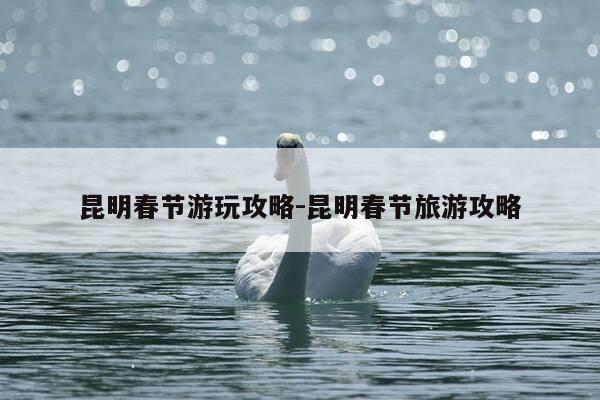 昆明春节游玩攻略-昆明春节旅游攻略-第1张图片-优惠活动网 昆明春节游玩攻略-昆明春节旅游攻略-第1张图片-优惠活动网